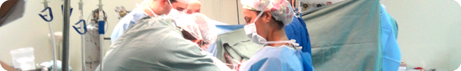 Cabecalho | Hospital Santa Lucinda | Transplante